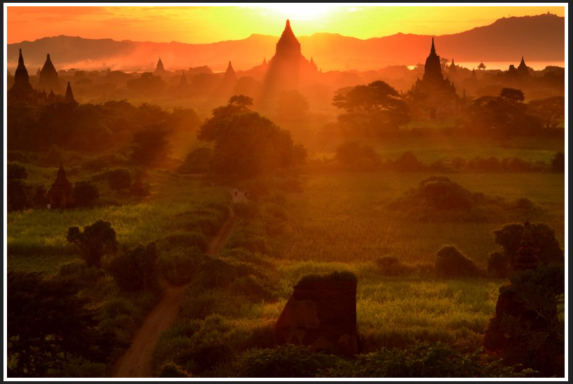 Dreaming in the Golden Land