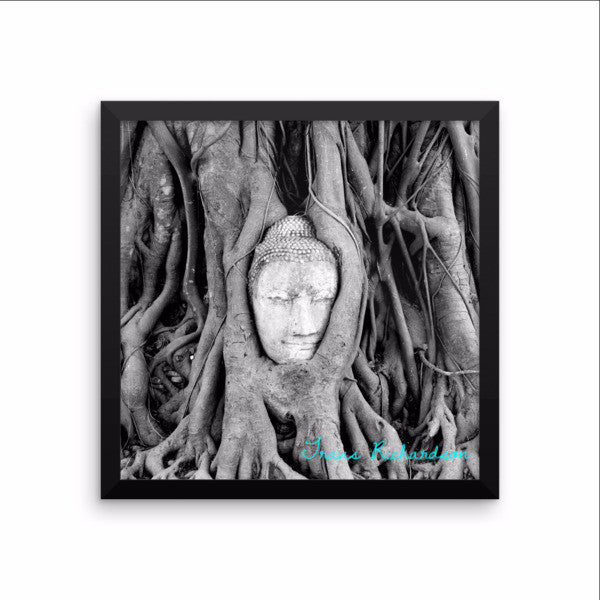 Ayutthaya Roots, Framed Art, - Explore Dream Discover