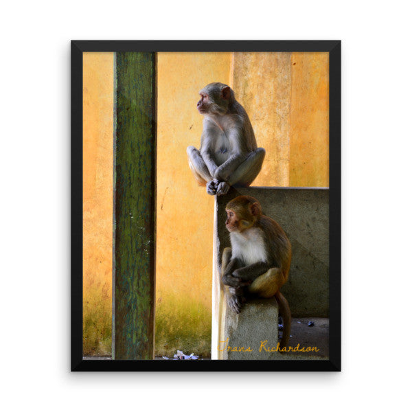 Popa Primates, Framed Art, - Explore Dream Discover