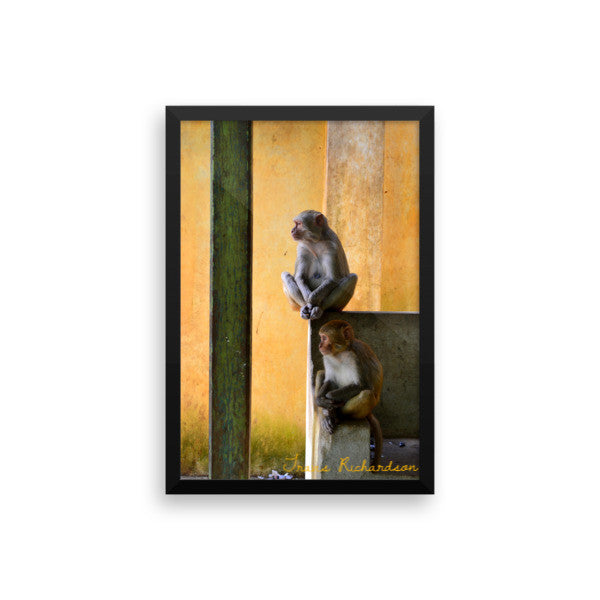 Popa Primates, Framed Art, - Explore Dream Discover