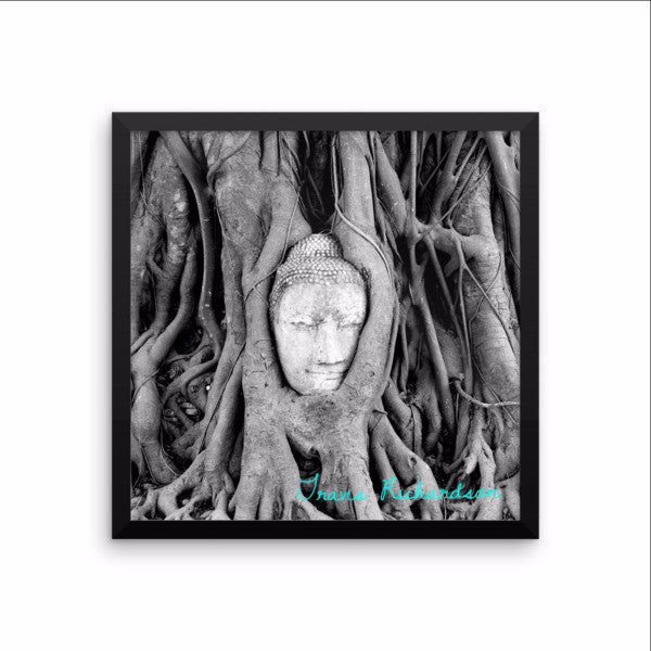 Ayutthaya Roots, Framed Art, - Explore Dream Discover