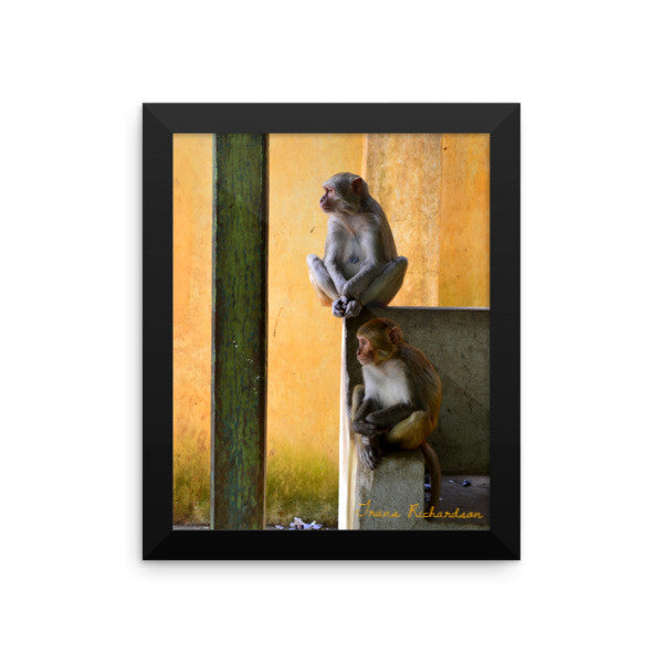 Popa Primates, Framed Art, - Explore Dream Discover