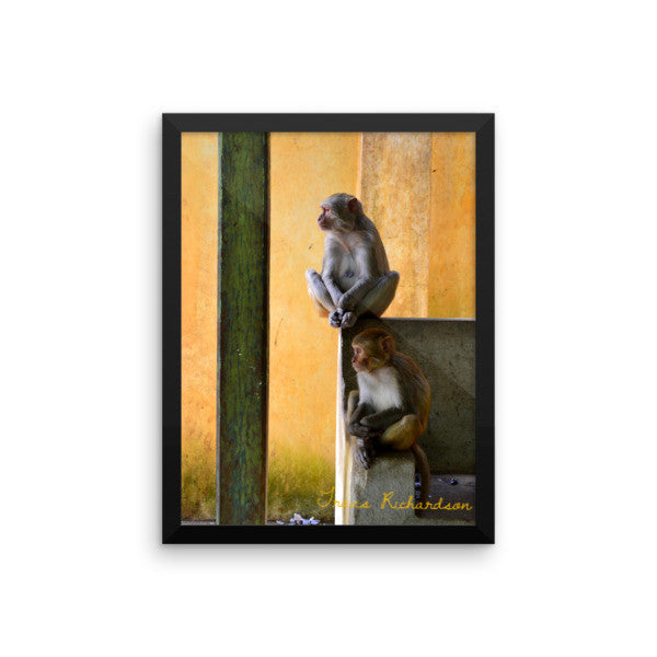 Popa Primates, Framed Art, - Explore Dream Discover
