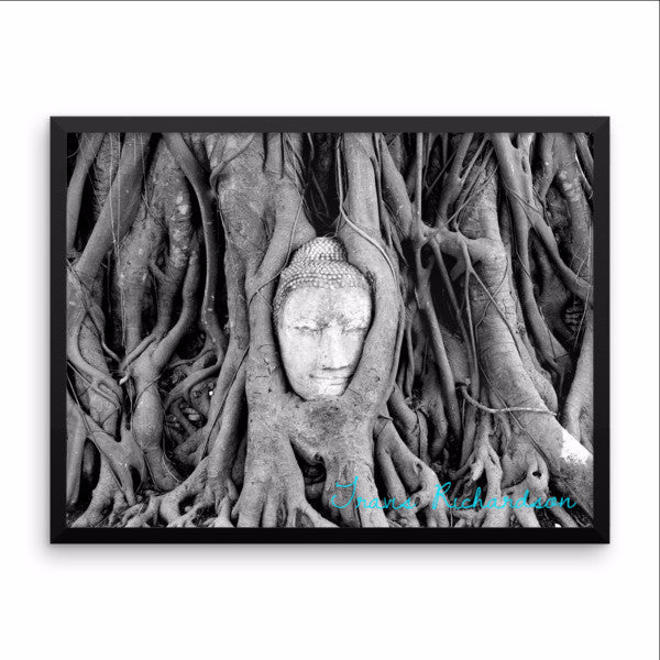 Ayutthaya Roots, Framed Art, - Explore Dream Discover