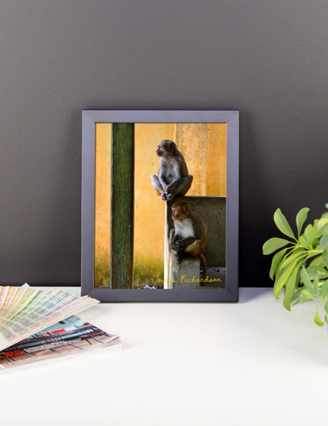Popa Primates, Framed Art, - Explore Dream Discover