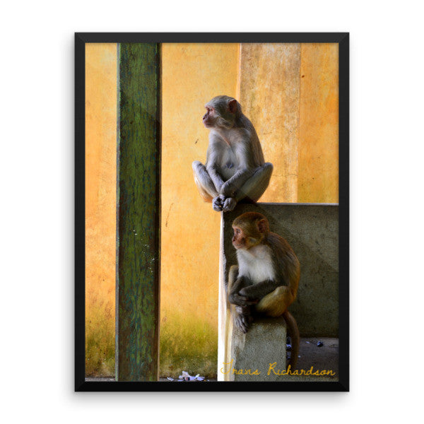 Popa Primates, Framed Art, - Explore Dream Discover