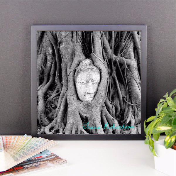 Ayutthaya Roots, Framed Art, - Explore Dream Discover