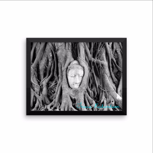 Ayutthaya Roots, Framed Art, - Explore Dream Discover