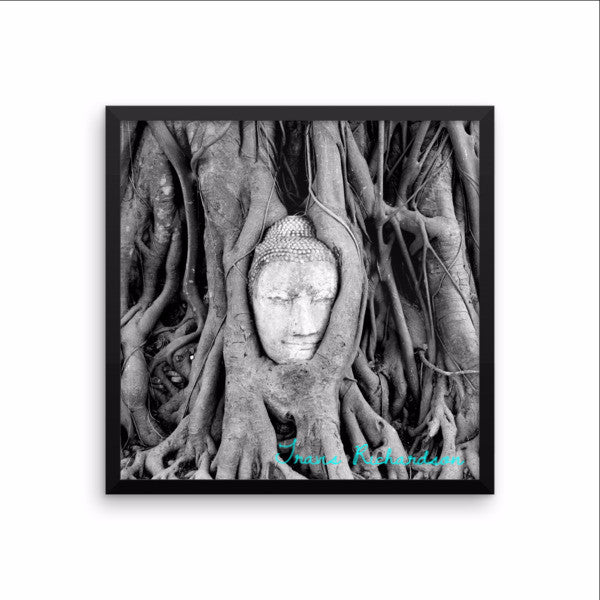 Ayutthaya Roots, Framed Art, - Explore Dream Discover