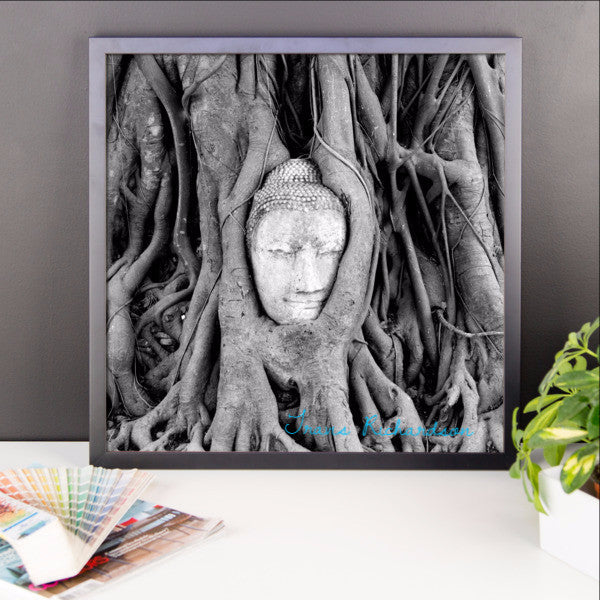Ayutthaya Roots, Framed Art, - Explore Dream Discover